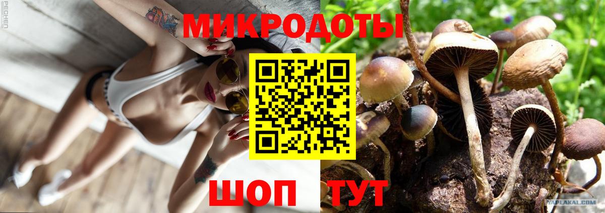 Псилоцибиновые грибы мухоморы  Вход с VPN  Галлюциногенные грибы Magic Shrooms  Дзержинский 