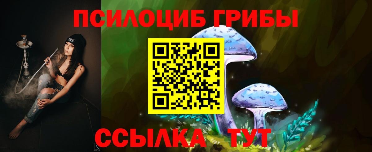 Псилоцибиновые грибы Psilocybine cubensis Дзержинский